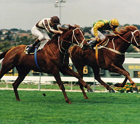 002608_0f408aa4beb4456ab5a2aa1fbd1098ba.jpg_srz_p_280_248_75_22_0.50_1.20_0.00_jpg_srz