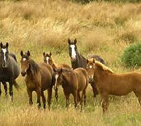 002608_2f47e297ec90492c89db7891682ed7be.jpg_srz_p_206_183_75_22_0.50_1.20_0.00_jpg_srz