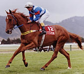 002608_3533580d0fd24d4b98fdde3bd8846bf2.jpg_srz_p_169_150_75_22_0.50_1.20_0.00_jpg_srz