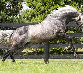 002608_8c4f1fec8ff64c20ac4ea45204943d93.jpg_srz_p_280_248_75_22_0.50_1.20_0.00_jpg_srz