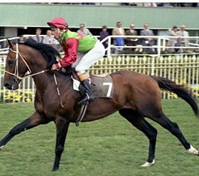 002608_adfb0d3426834565a3f6005fdedff78f.jpg_srz_p_280_248_75_22_0.50_1.20_0.00_jpg_srz