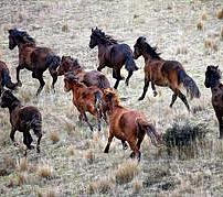 002608_bcb3b6ea189746d5bae4349c1ea19ce0.jpg_srz_p_202_179_75_22_0.50_1.20_0.00_jpg_srz