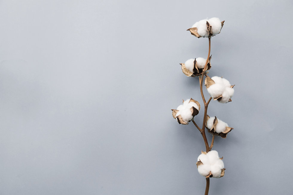 AdobeStock_245010583.jpeg