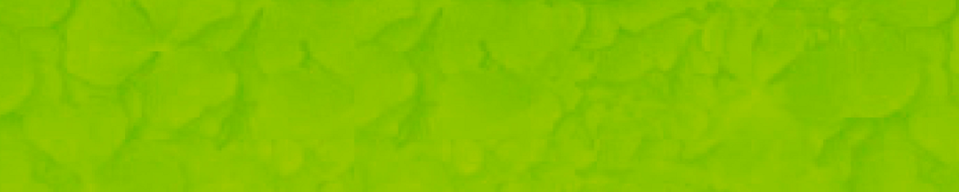 brev brev