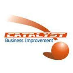 Catalyst Business Improvement P/L
