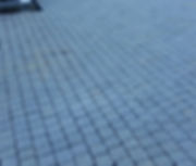 20161118_072738.jpeg
