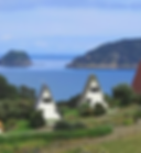 Screen Shot 2020-06-03 at 12.11.41 PM.pn