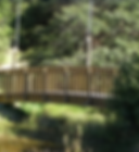 Screen Shot 2020-06-03 at 12.36.41 PM.pn