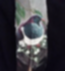 Screen Shot 2019-04-24 at 4.14.05 PM.png