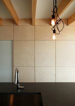 SPLITHOUSE_12.5_studio PERCH_Suresh Pere