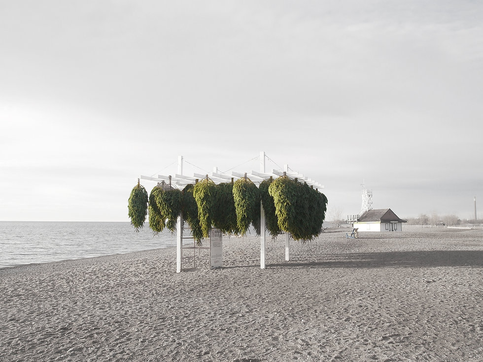 north_05.jpg