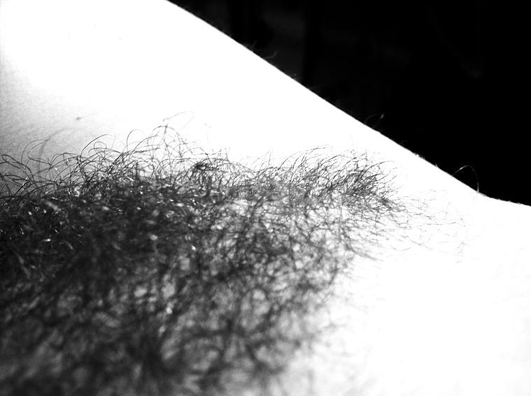 hiding in the bush L’erotismo è dare al corpo le suggestioni della mente. (Georges Perros, Papier collés, 1960) Lavoro autobiografico ©Donatella D’Angelo 2011