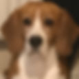 IMG_8143.jpeg