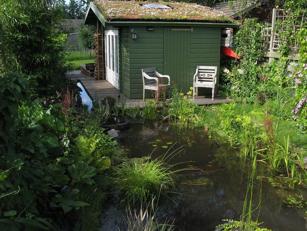 fredtuin12.jpg