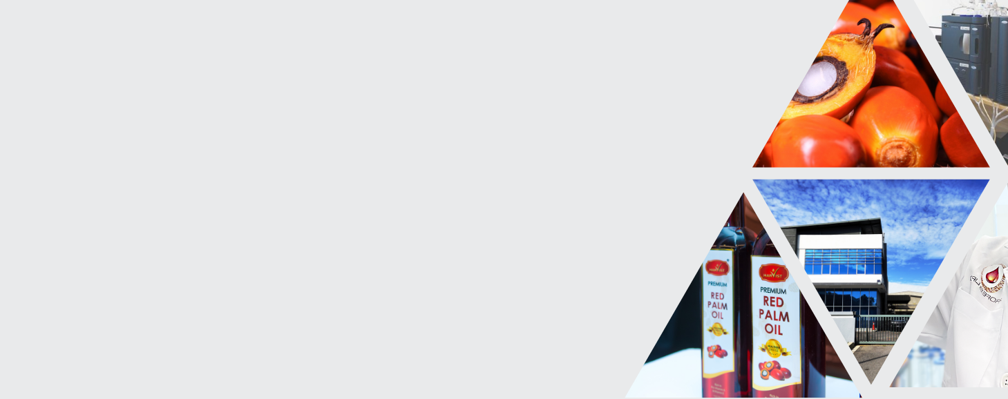 Website Banner.png