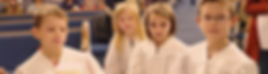 KIDSMINheader.png