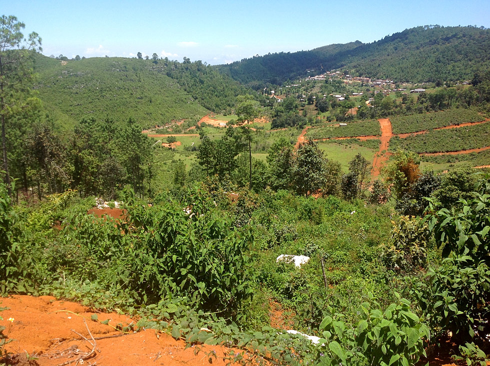 Terrenos campestres para cabañas ecológicas