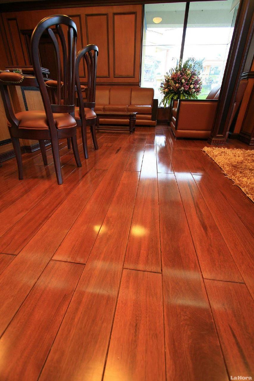 Wix.com casamontoya created by felipezeppelin based on blank-website