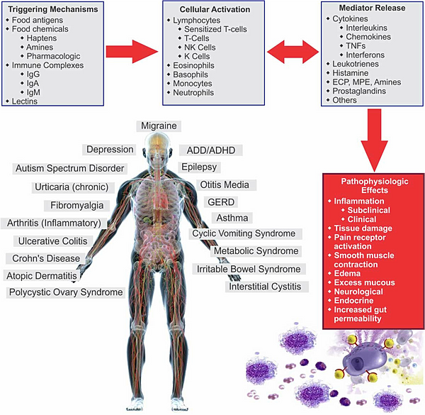 eosinophilia-crohn-s-disease-diet-recommendations-thenewmaster