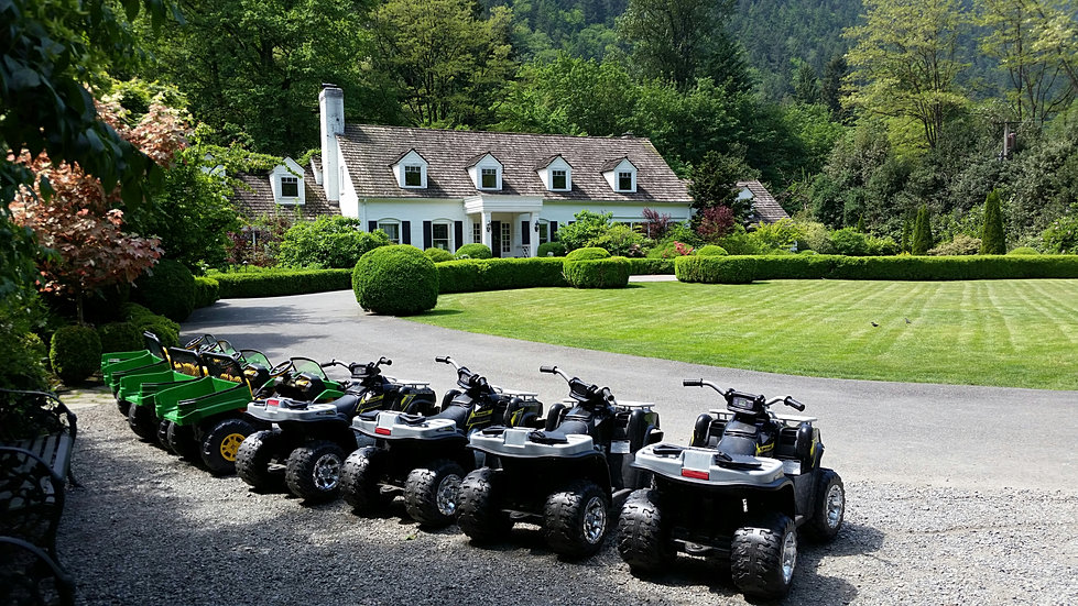 foxhollowfarm Gallery