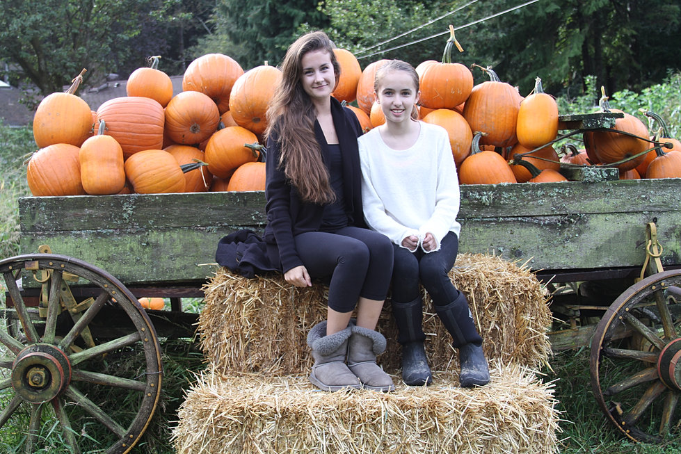 foxhollowfarm Gallery