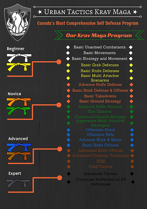 krav-maga-belt-rankings