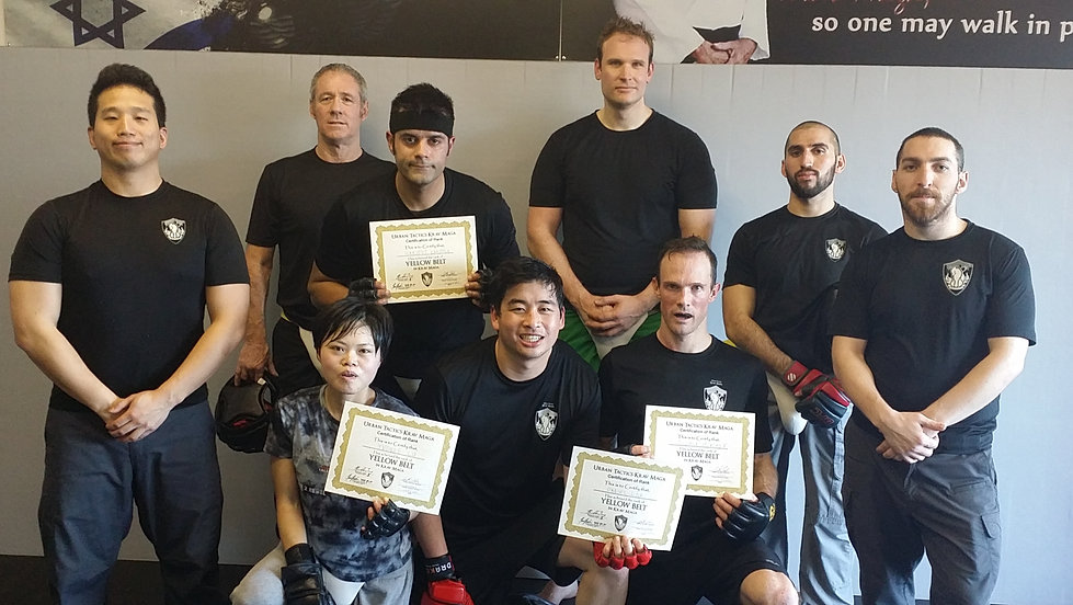 Krav Maga Belt Rankings