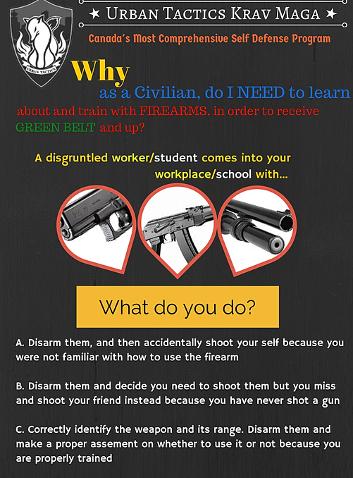 Krav Maga Belt Rankings