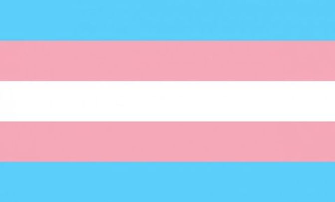 Transphobia Among Gay Men
