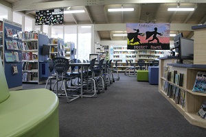 MDCS Library .jpg