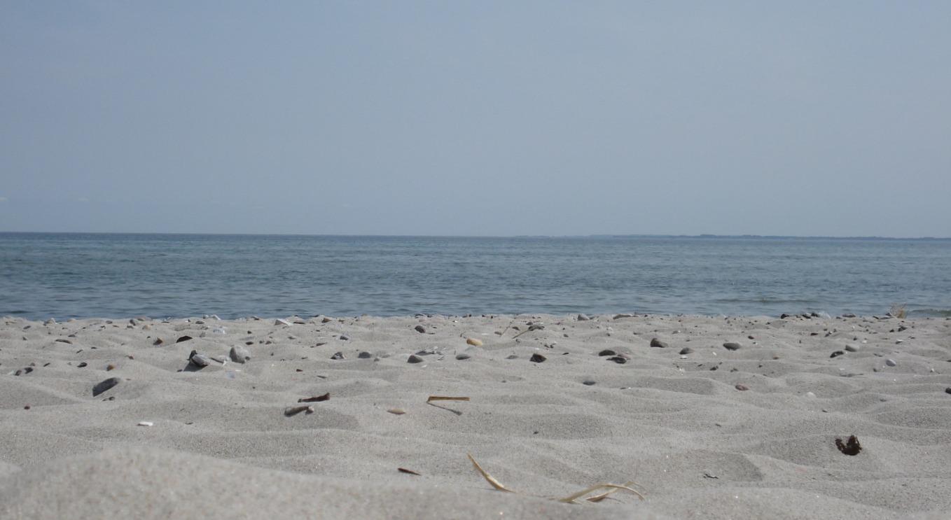 Strandnahe Ferienwohnung Am Deich Gromitz Gastehaus Balschus