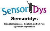 Sensoridys Association Francophone Petit.JPG