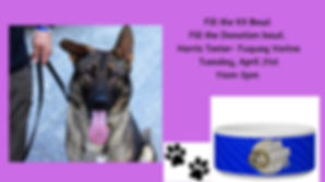 k9fuquay teeter.jpg