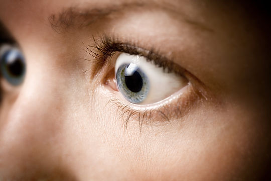 shutterstock_2471111.jpg