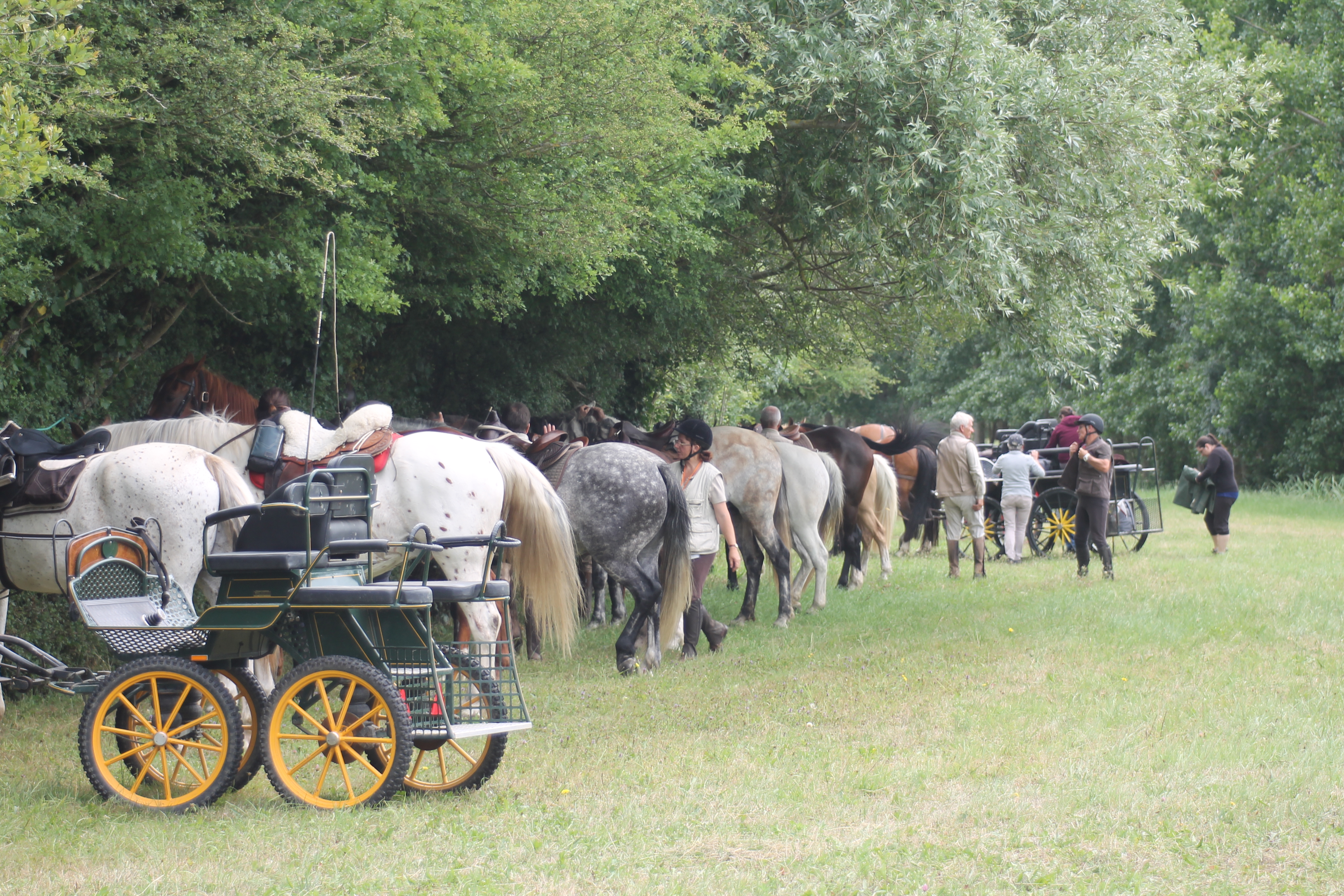 rencontre geocalise
