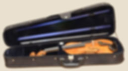 Case Croped.jpg