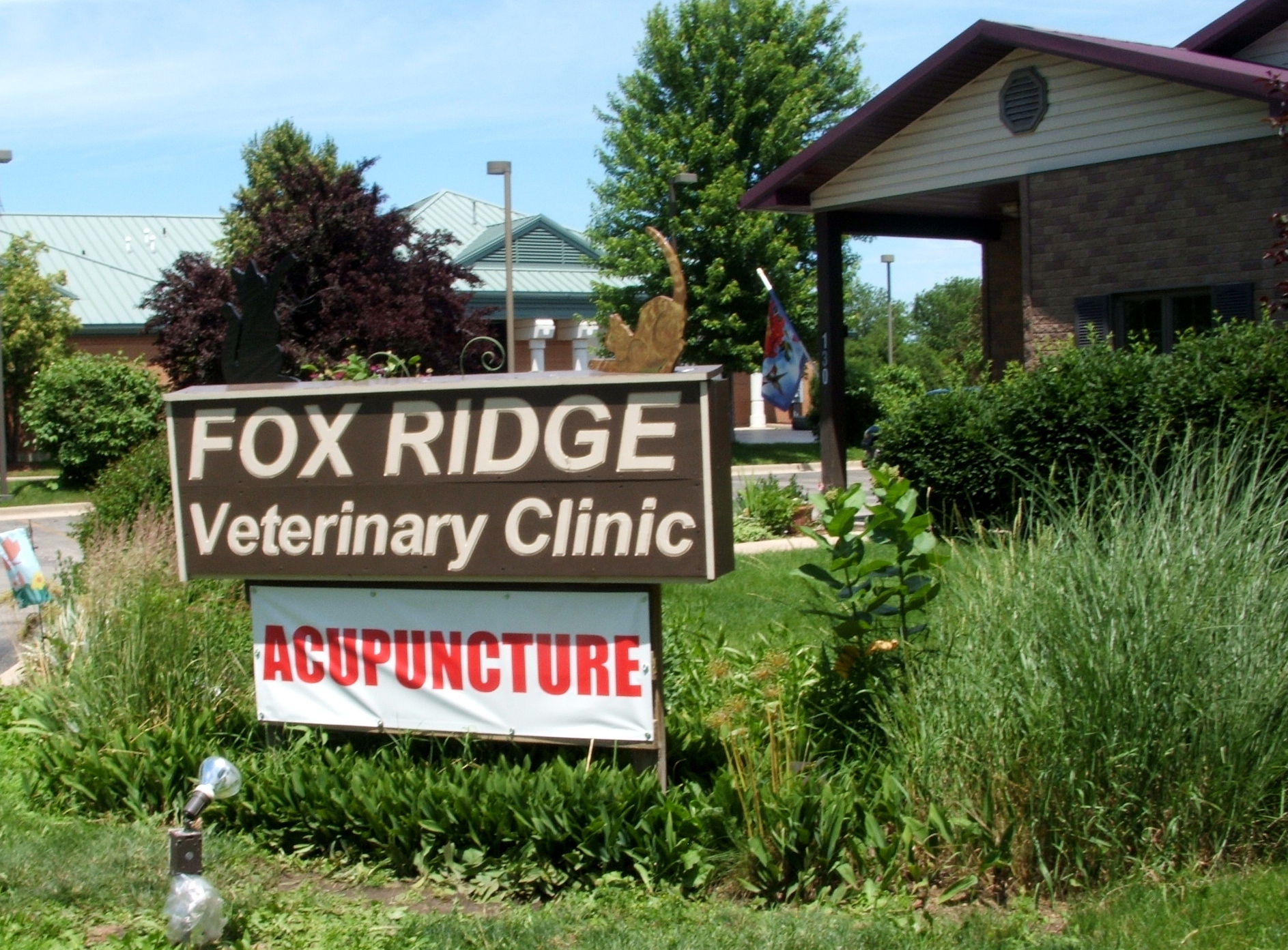 Veterinarian Oswego, Ilinois. Veterinary Clinic