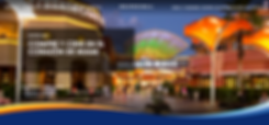 Dolphin Mall Taubman translation Lf Tran