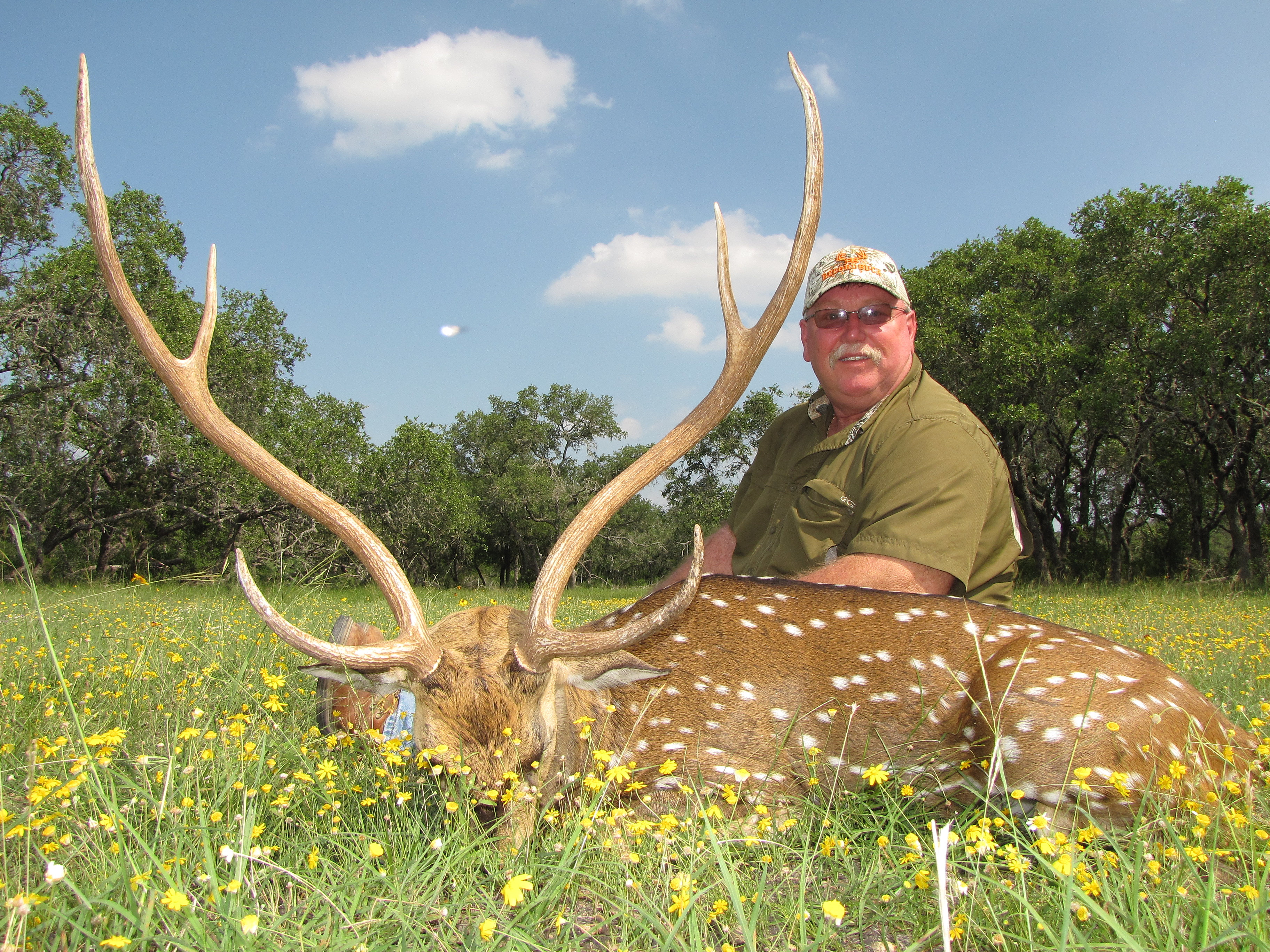 Texas hog hunting amarillo