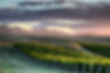 Vineyards.jpg