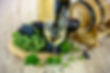 wine-1761613_1920.jpg