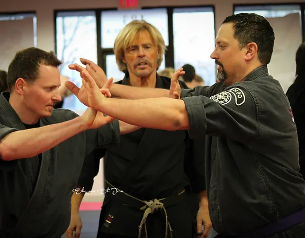 Karate sarnia