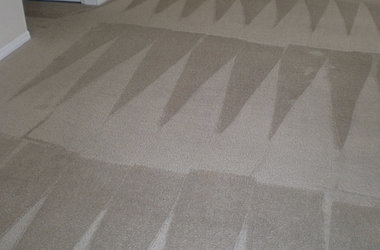 Carpet cleaning