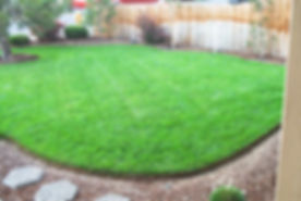 McPheeters Turf