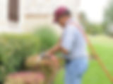 Omaha Lawn Care | Omaha Lawn Fertilizations | Omaha Weed Control | Tree Lawn Medic - Omaha NE