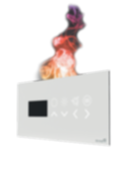 Alivida Sauna Control