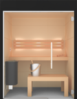 Alivida Sauna render vooraanzicht