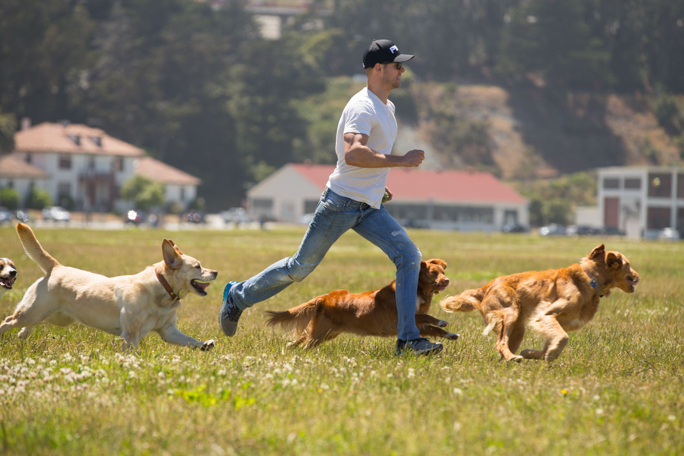 JOBS Citizen Hound Winner Best Dog Walker San Francisco