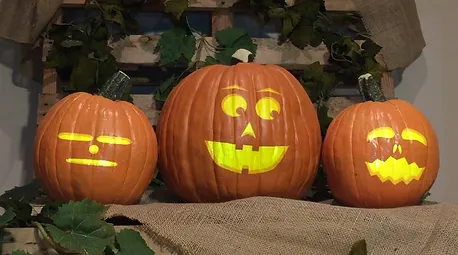 singing pumpkins singing pumpkin effect and animation