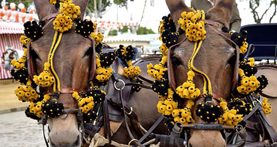 0e2bcb_d0d01802fcf0425aa863a021396dcbb0.